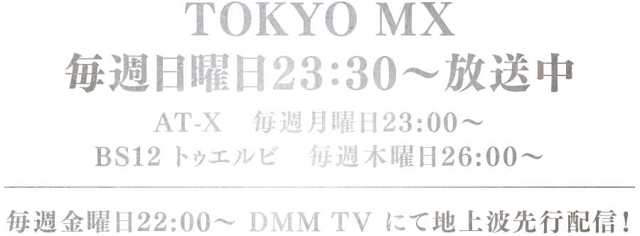 TOKYO MX 毎週日曜23:30〜放送中